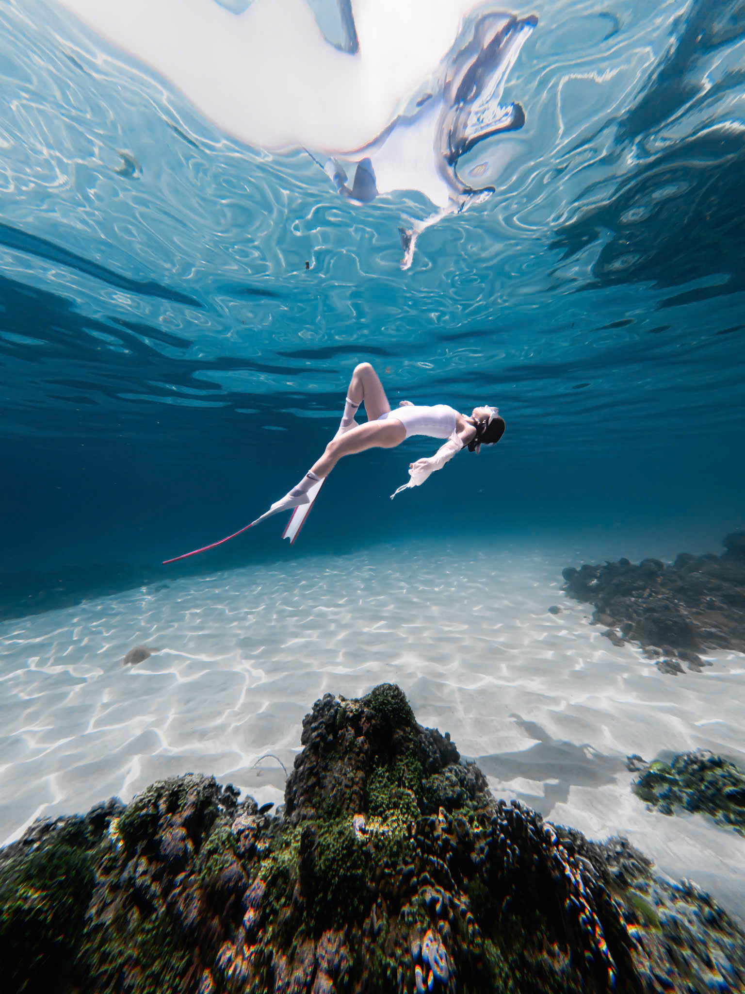 Mẫu màu Xanh ocean